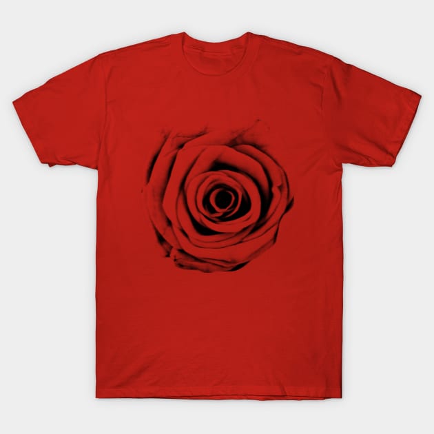 Rose T-Shirt by ALSOTHAT